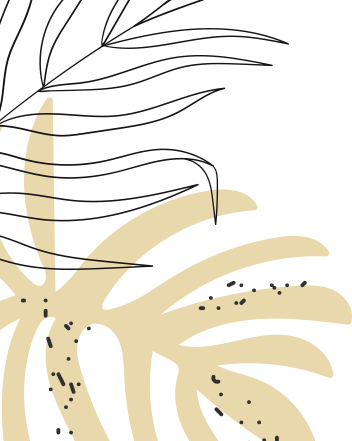 T-Palace Nail Salon & Spa in Lady Lake, FL 32159